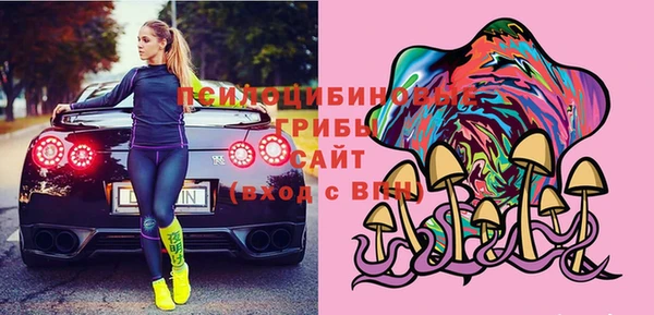 прущий лед Арсеньев