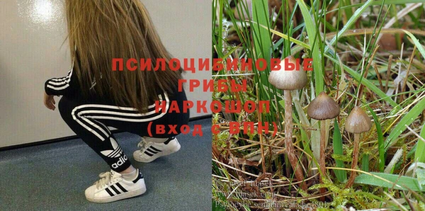 МДПВ Козельск