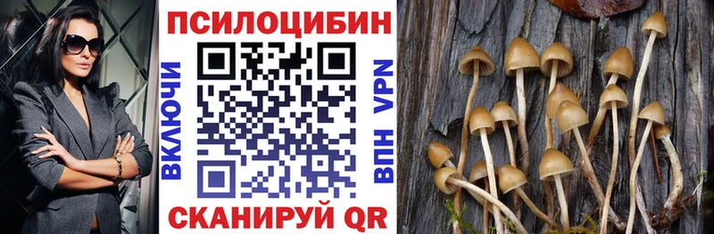 как найти наркотики  Солигалич  Псилоцибиновые грибы Psilocybe 
